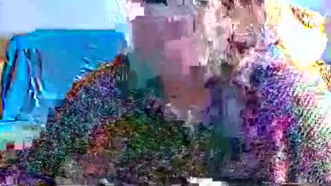 laureanne online show from November 9, 10:55 am