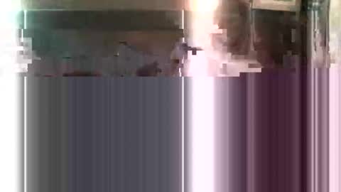 EverybodylovesAnnika online show from December 9, 10:11 am