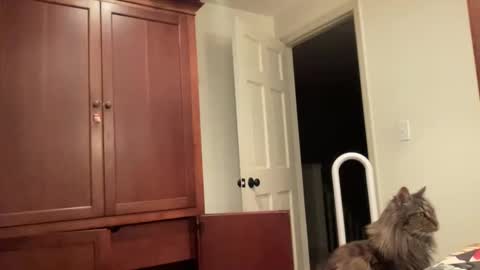 lilbi85_ online show from January 12, 12:39 am