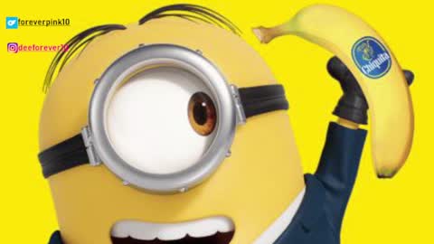 Pinky online show from December 4, 9:07 am