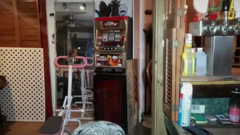 Lorelai Kane online show from January 7, 6:28 am