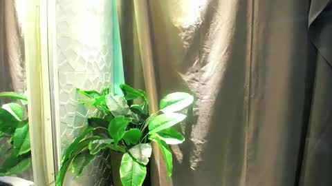 Christine online show from February 4, 2:47 am