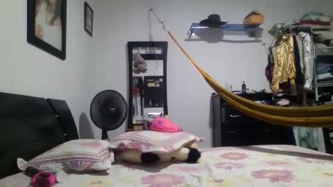 Lupita online show from December 2, 7:49 pm