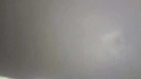 Bee Bee online show from February 9, 1:46 pm