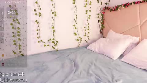 Lyly   online show from November 14, 9:09 am