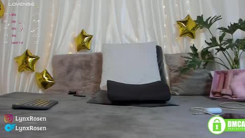 Lynx Rosen online show from January 17, 9:06 pm