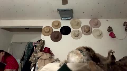 SummerPeach online show from January 7, 2:42 am