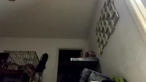 SummerPeach online show from January 11, 3:23 am