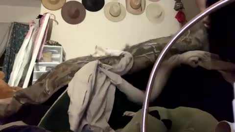 SummerPeach online show from December 28, 4:41 am