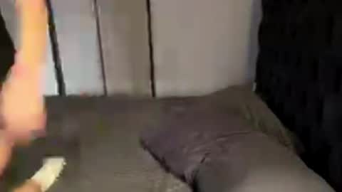 Lola online show from March 4, 10:00 am