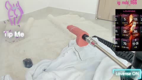 Snapshot of mia_adams66 chatting on January 11, 6:33 pm Mia adams online show from January 11, 6:33 pm