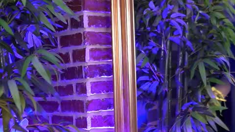 milla_serene online show from November 16, 6:59 am