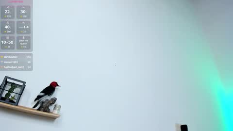 miss_danikaa online show from November 26, 2:45 am