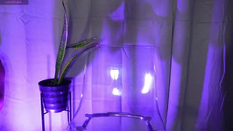 DIONNE online show from April 14, 11:32 am