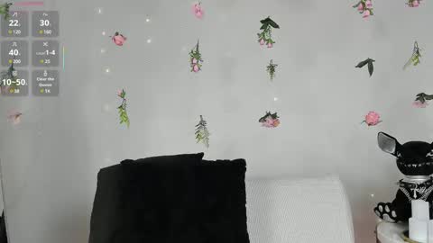  Morgan  online show from February 25, 11:54 am