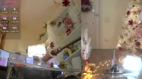 INSTAGRAM     bekkercat  online show from December 20, 1:04 pm