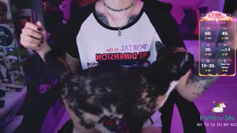 Monday-Friday 12-4 AM and 6-9 AM New York time online show from February 1, 8:51 pm