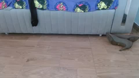 nath_dawson online show from February 4, 3:48 pm