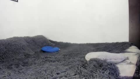 Nathaly online show from October 21, 9:52 pm