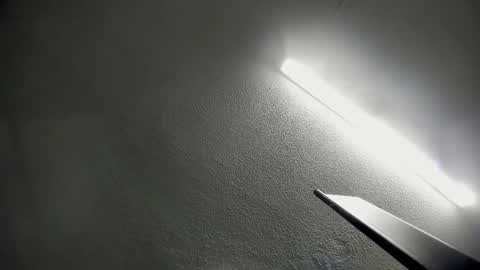 nicohillx online show from January 19, 5:03 am