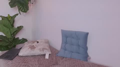 Nicolle online show from January 11, 11:15 am