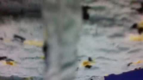 nightshade8807 online show from October 28, 6:57 pm