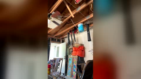 Nikkie online show from April 3, 7:12 pm