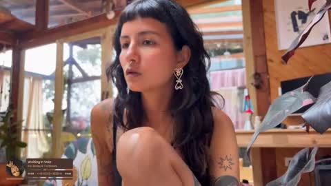 Nina.  online show from February 6, 7:28 pm