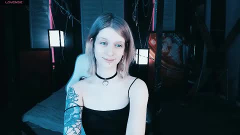 Snapshot of noah_elmer chatting on February 11, 4:46 pm REAL name LiaDM are always open online show from February 11, 4:46 pm