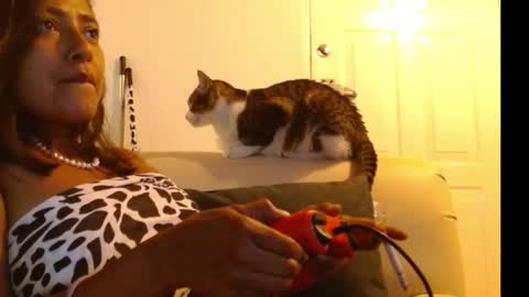 novaperotti online show from February 25, 11:59 pm