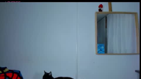 Laura nyu online show from February 26, 9:25 pm