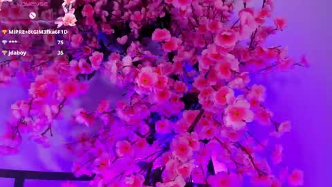 Snapshot of olivejoness_ chatting on September 26, 6:44 am olive online show from September 26, 6:44 am
