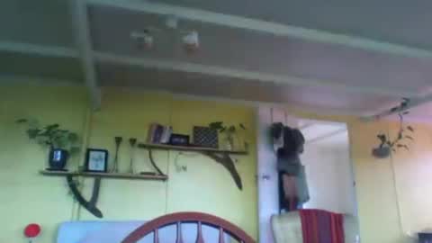 pixiecatfairy online show from April 22, 11:24 pm