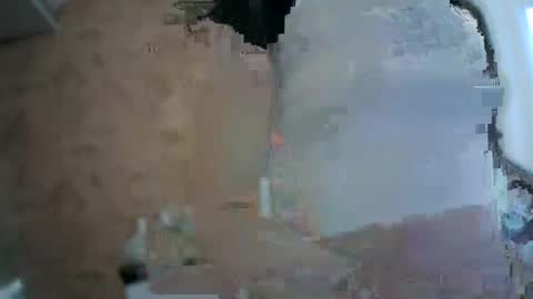 Bella online show from March 24, 2:50 am