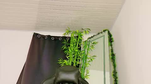 Denis online show from December 13, 11:43 pm