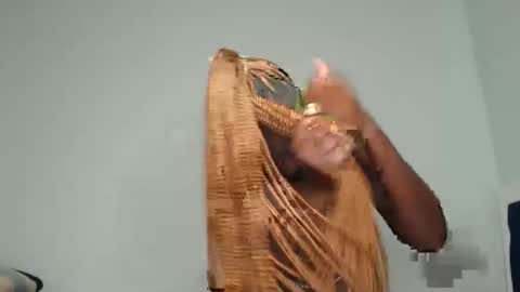 Lizzy online show from February 11, 8:05 am