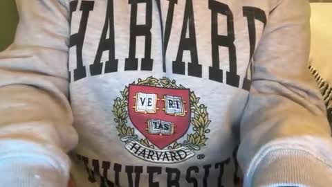 Pumpkin bunny online show from February 6, 12:58 am