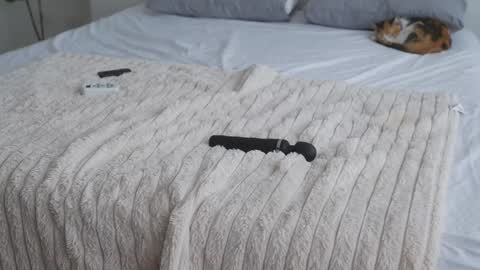 - Maria - Of rebeccastonec - telegram  online show from December 2, 8:44 pm