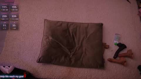 Redhead Shark online show from January 7, 1:25 pm