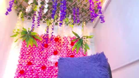 Risitos De Oro online show from November 27, 8:01 pm