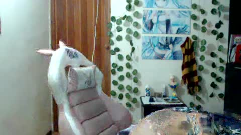 Daniela Ferreira online show from June 29, 11:15 pm