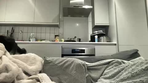 sahsa_kanra online show from November 23, 2:14 am