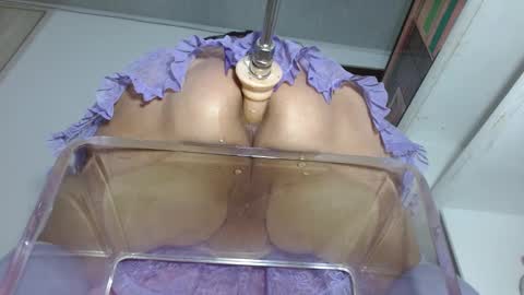 SAMMY online show from January 26, 10:55 am