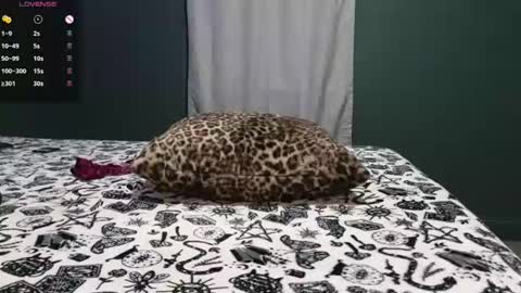 Sarah Babes online show from June 29, 3:02 am