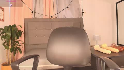 SARA online show from November 6, 12:33 pm