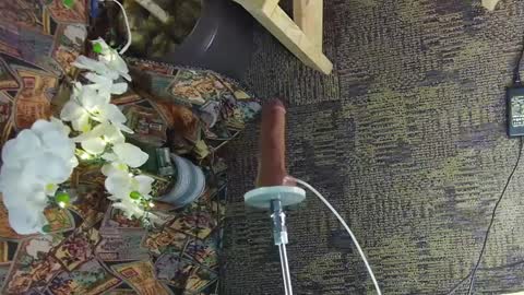 sassylatin45 online show from March 2, 1:47 am