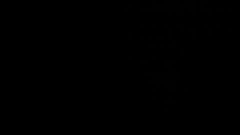 kitty online show from September 17, 8:45 am