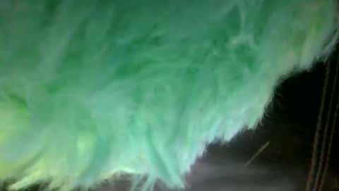 Sunny online show from January 10, 9:52 pm