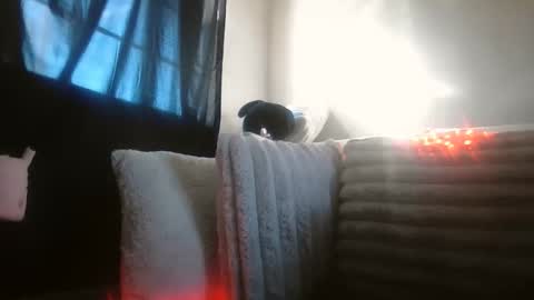 sequoia8888 online show from January 16, 4:58 pm