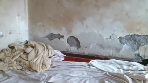 Luna online show from December 18, 6:07 am